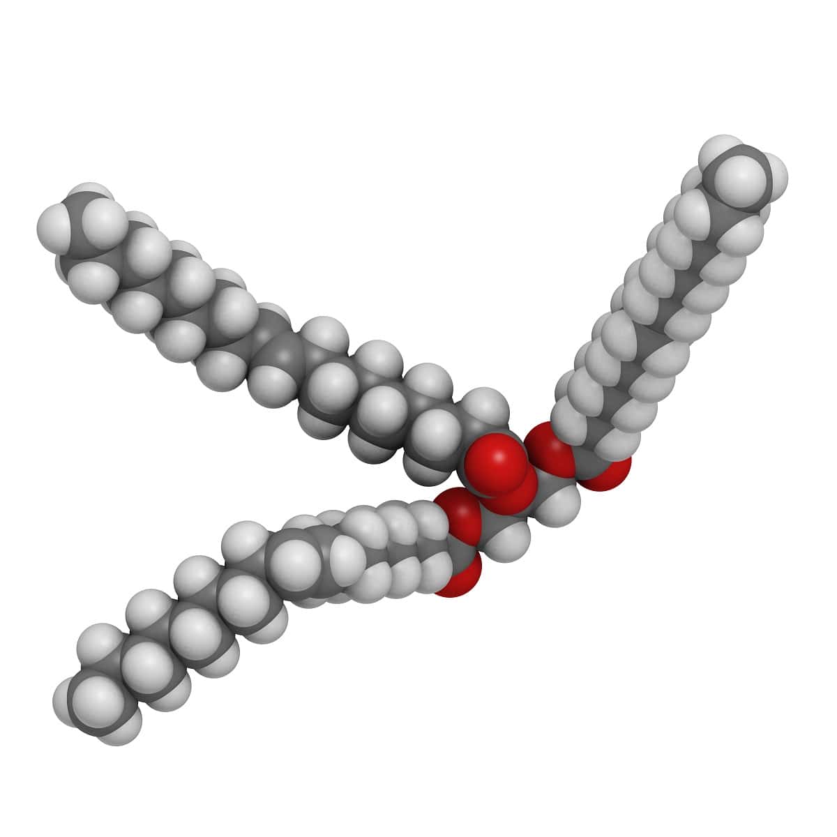 Biomoleculas los lipidos images
