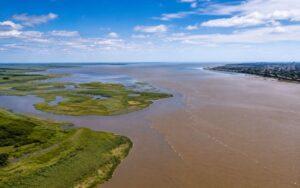Estuario