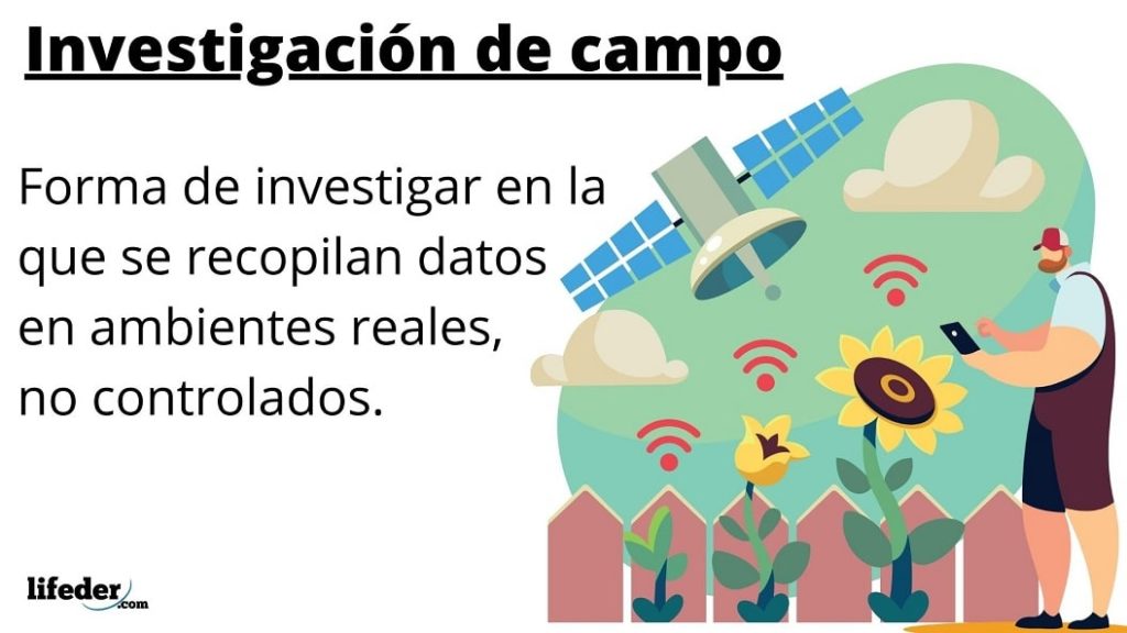Investigación de campo: características, diseño, técnicas, ejemplos