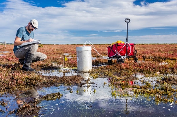 Investigación de campo características, diseño, técnicas