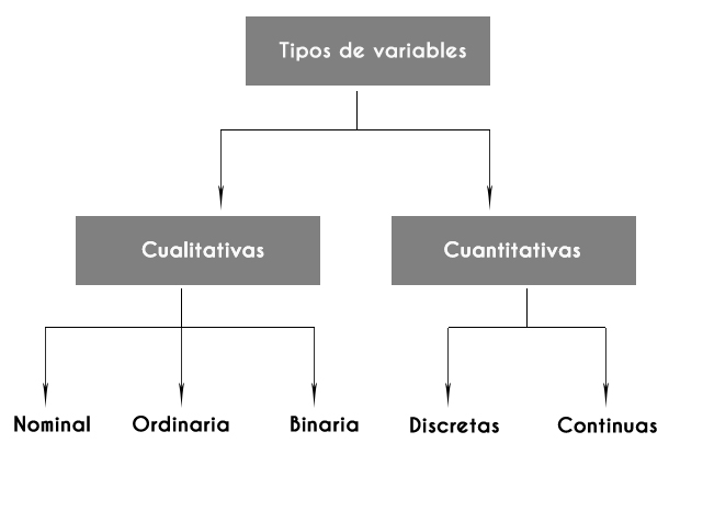 Tipos De Variables Platzi - Riset