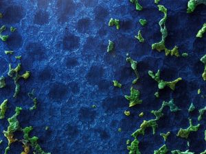 Arseniuro de galio: estructura, propiedades, usos, riesgos