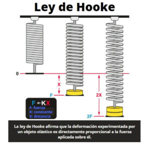 Ley de Hooke: fórmulas, ejemplos, aplicaciones, ejercicios