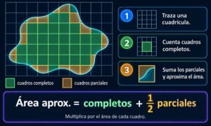 Medición aproximada de figuras amorfas