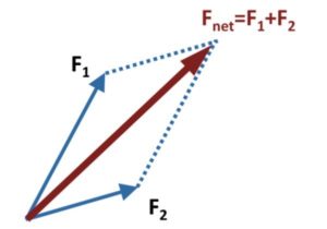 Método del paralelogramo: ejemplos, ejercicios resueltos