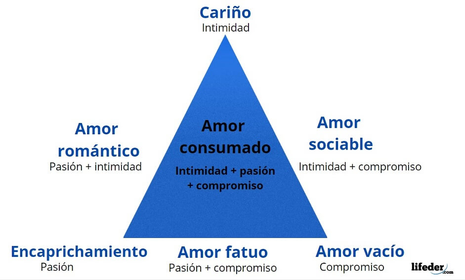 Robert Sternberg: biografía, teoría triangular del amor, inteligencia  exitosa