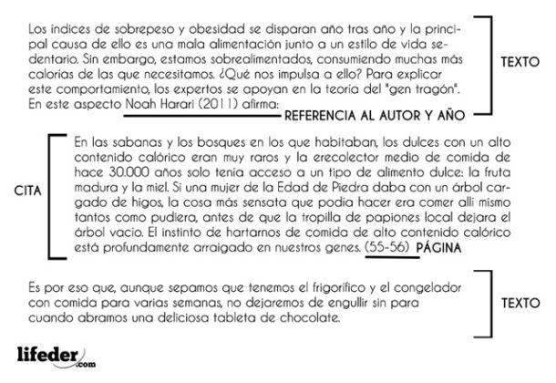Citas textuales características, tipos, elementos