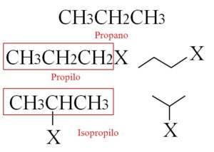 Alquilo: concepto, radicales más comunes, estructura