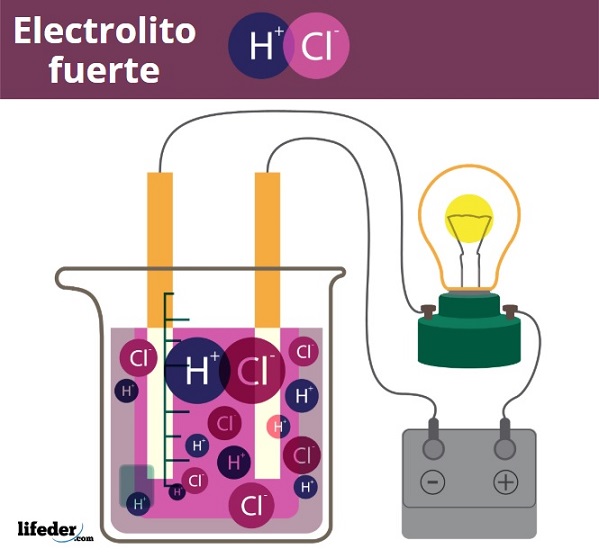 Electrolito fuerte concepto, características, ejemplos Electrolito fuerte concepto, características, ejemplos