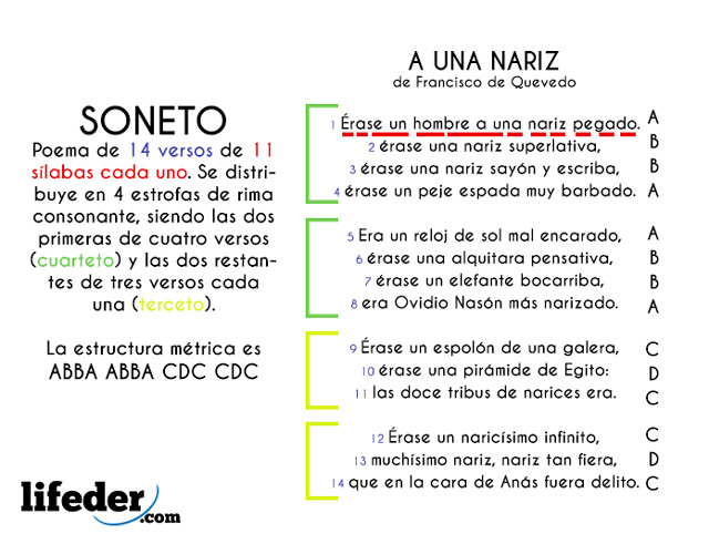 Soneto: características, estructura, ejemplos - Lifeder