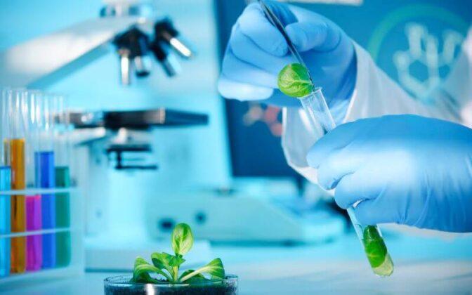 ¿Cómo es la Relación entre Ciencia y Tecnología?