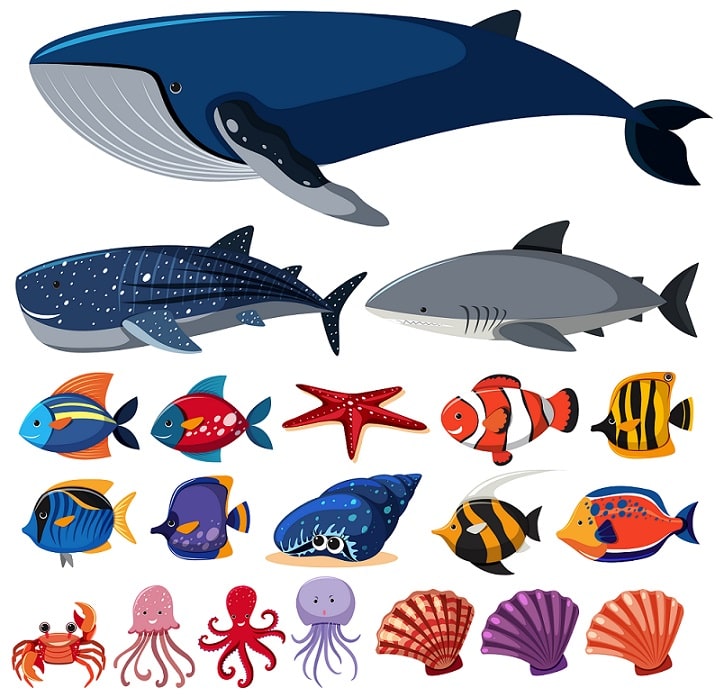 Los 10 animales marinos más grandes del mundo