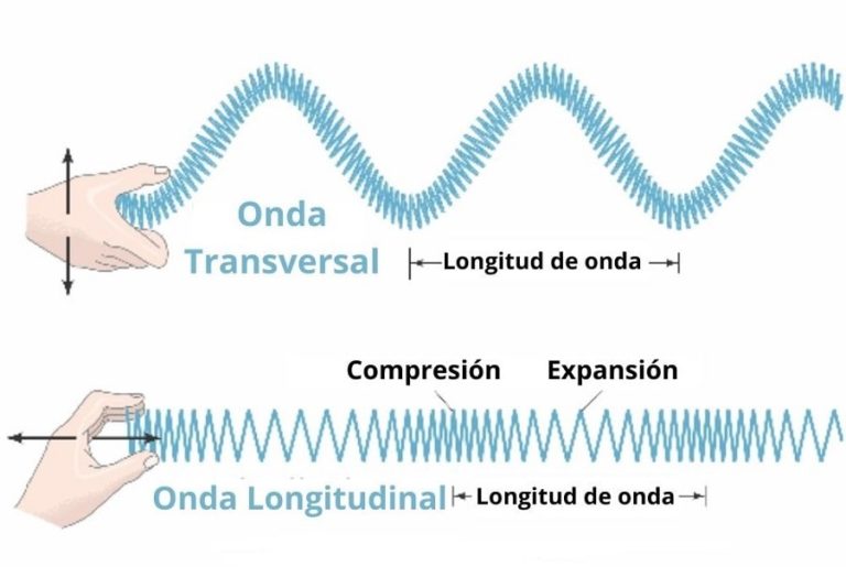 Movimiento ondulatorio: características, tipos de ondas, ejemplos