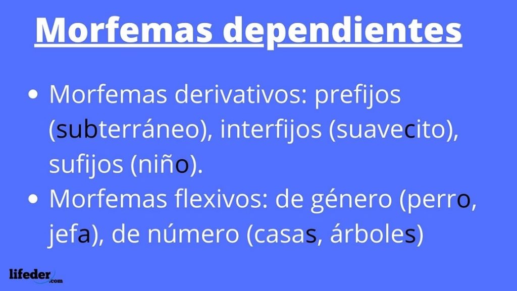 Morfemas concepto, tipos y ejemplos Morfemas concepto, tipos y ejemplos