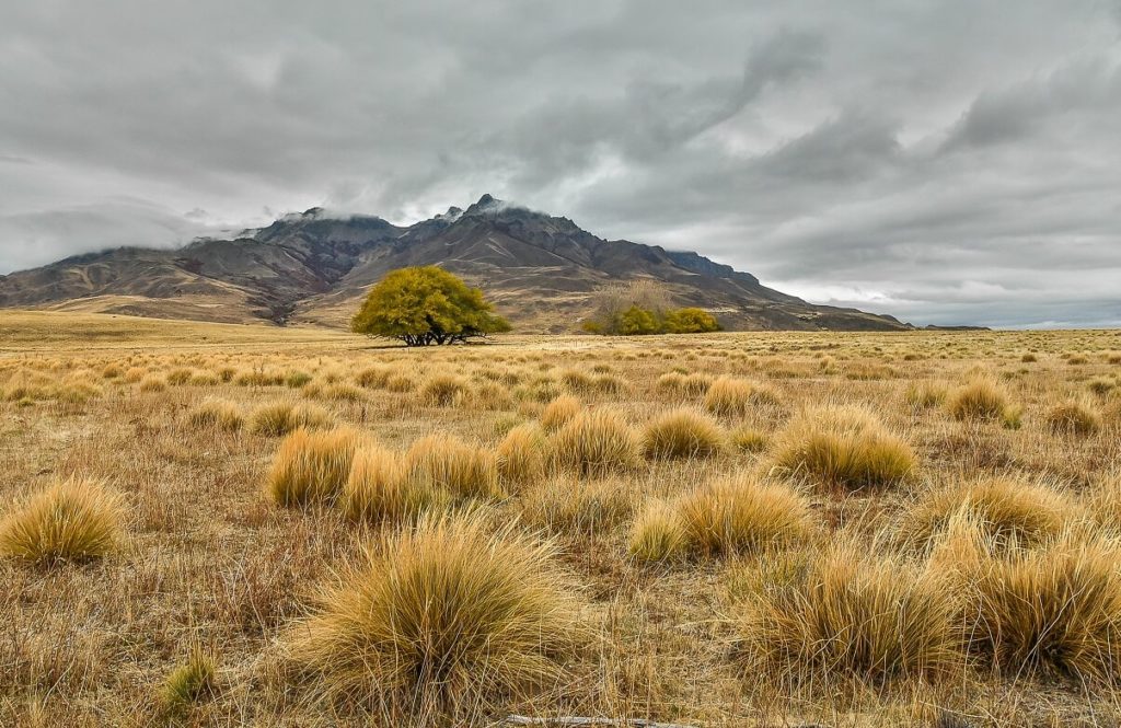 Clima seco: qué es, características, tipos, localización, flora, fauna