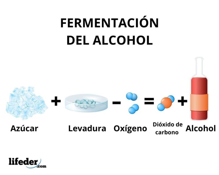 Alcohol etílico: estructura, propiedades, usos, obtención