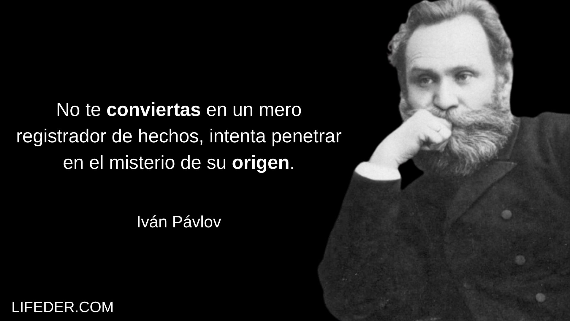+100 Frases de Psicología para Pensar y Reflexionar (Cortas)