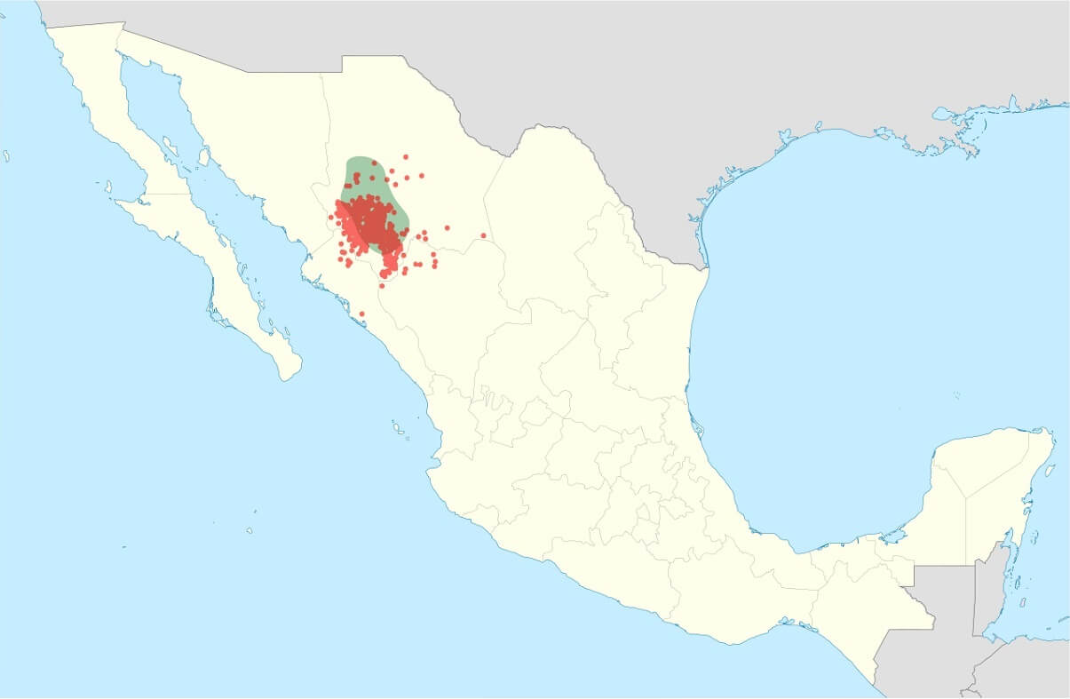 Tarahumaras Caracteristicas Alimentacion Lengua Costumbres Tarahumaras Caracteristicas Alimentacion Lengua Costumbres