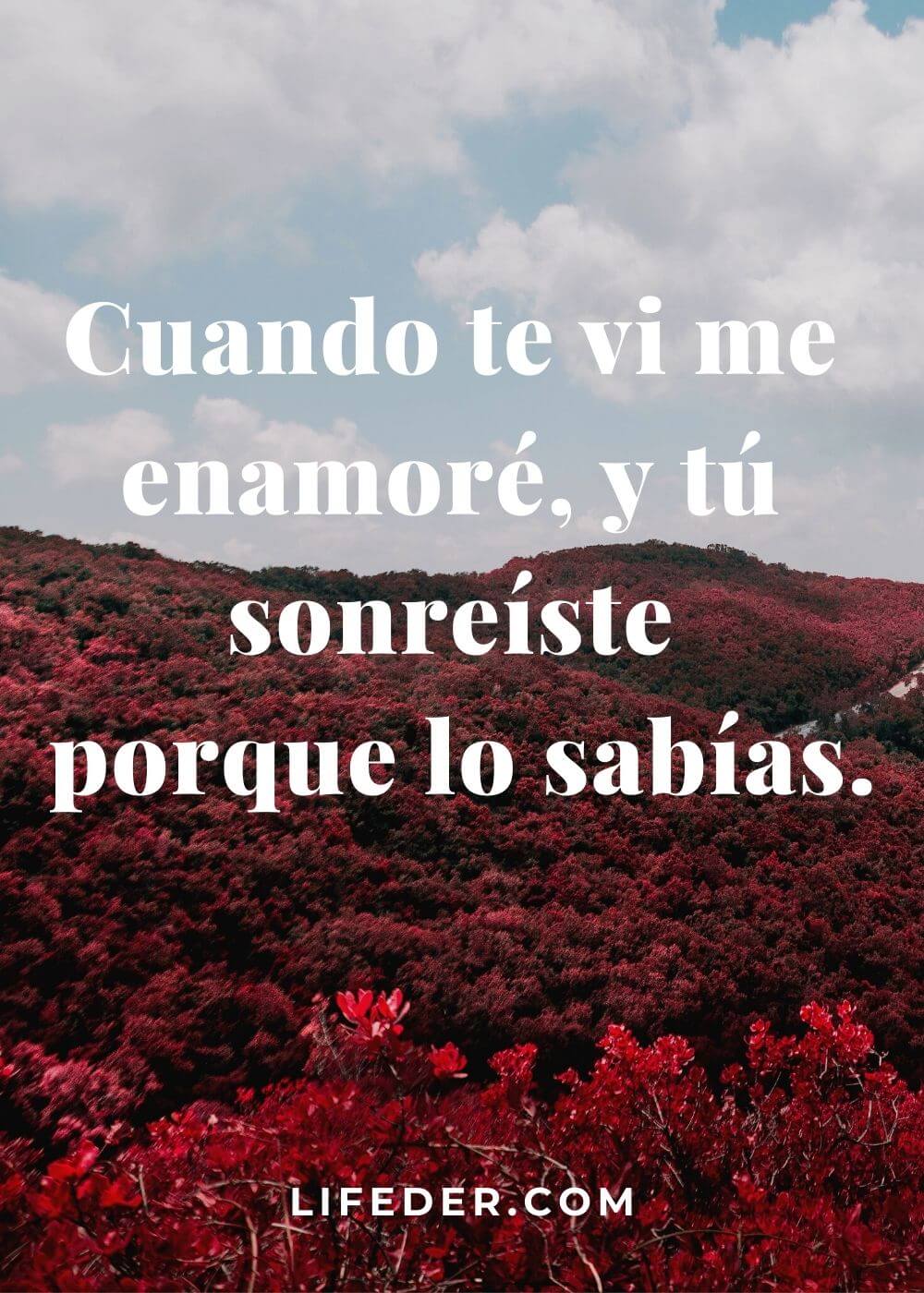 71 ideas de para mi amor imaginario para guardar hoy | frases bonitas,  frases sentimentales, frases sabias y más, image size:1000x1400