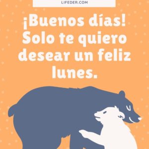 Feliz lunes: 100 frases para dedicar + imágenes