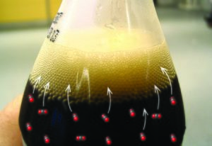 Equilibrio líquido-vapor