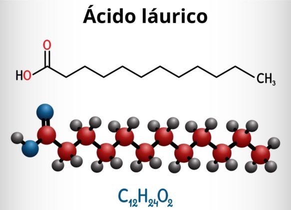 Lípidos: qué son, características, ejemplos, estructura, función