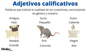 Adjetivos calificativos