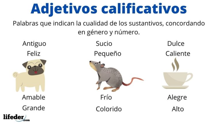 Adjetivos calificativos: definición, tipos, para qué sirven, ejemplos