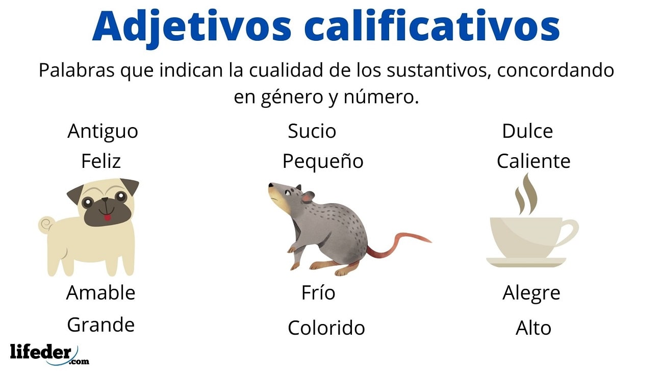 Adjetivos Calificativos Definición Tipos Para Qué Sirven Ejemplos