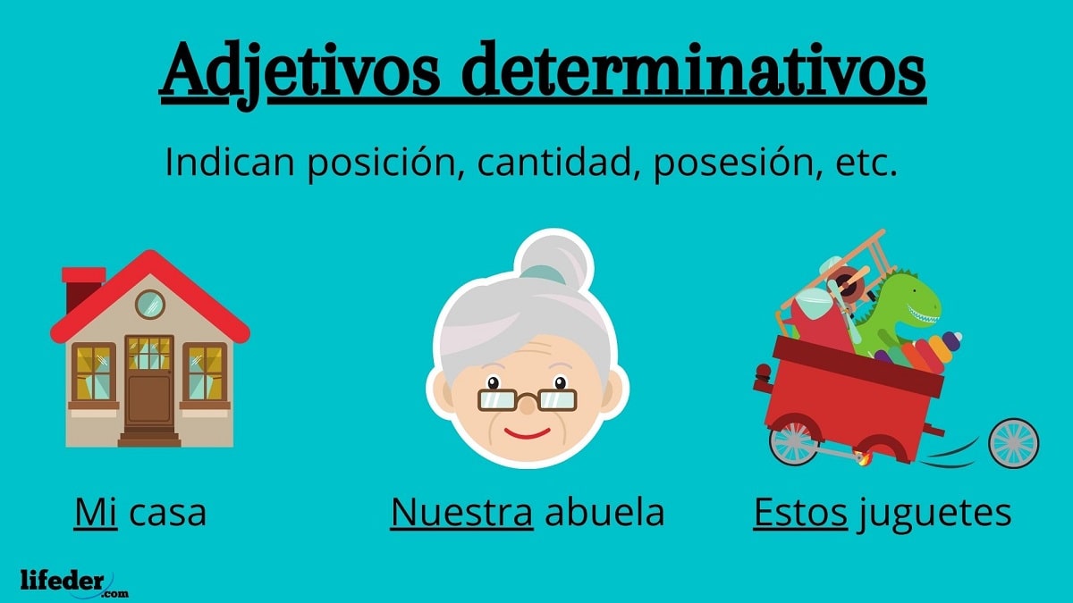 Adjetivos determinativos: definición, ejemplos y oraciones - Lifeder
