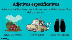 Adjetivos especificativos