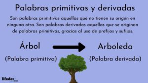 Palabras primitivas y derivadas