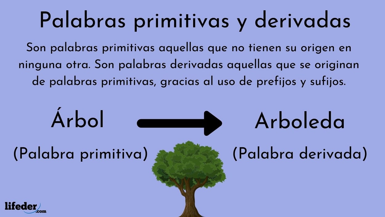 Palabras primitivas y derivadas: cuáles son y +100 ejemplos fáciles