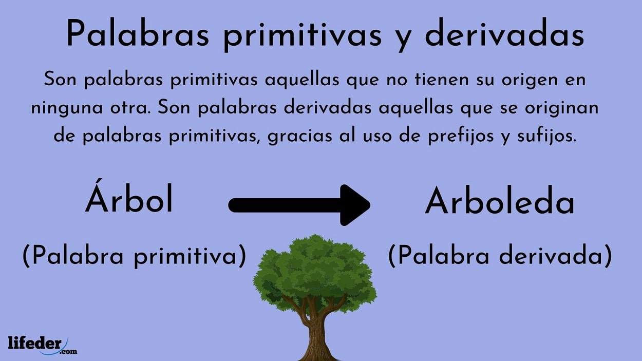 Palabras primitivas y derivadas cuáles son y +100