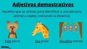 Adjetivos demostrativos