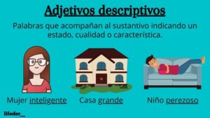 Adjetivos descriptivos