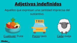 Adjetivos indefinidos