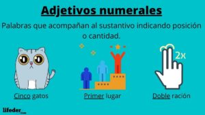 Adjetivos numerales