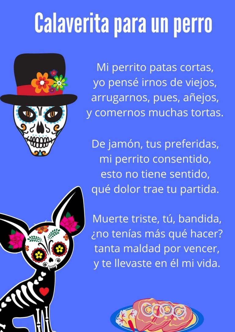 20 calaveritas literarias cortas para niños y maestros