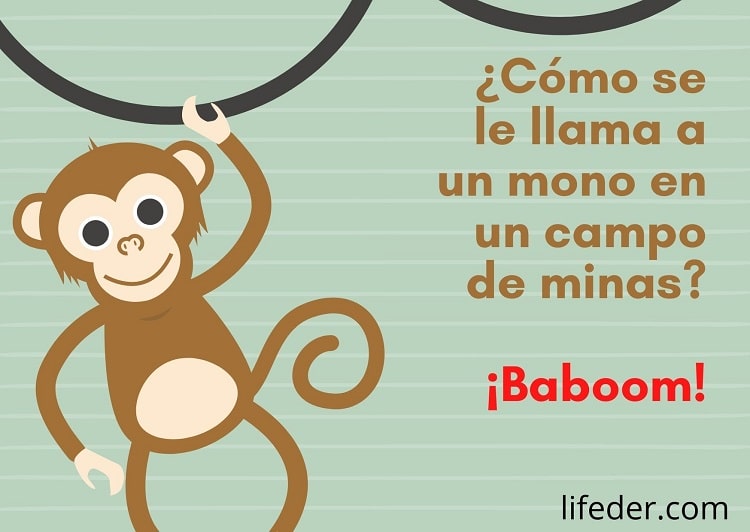 Chiste De Juegos De Palabras