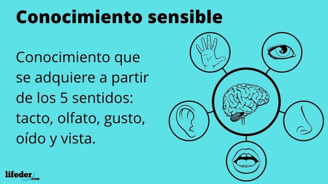 ¿Qué es el Conocimiento Religioso? (con Ejemplo) ¿Qué es el Conocimiento Religioso? (con Ejemplo)