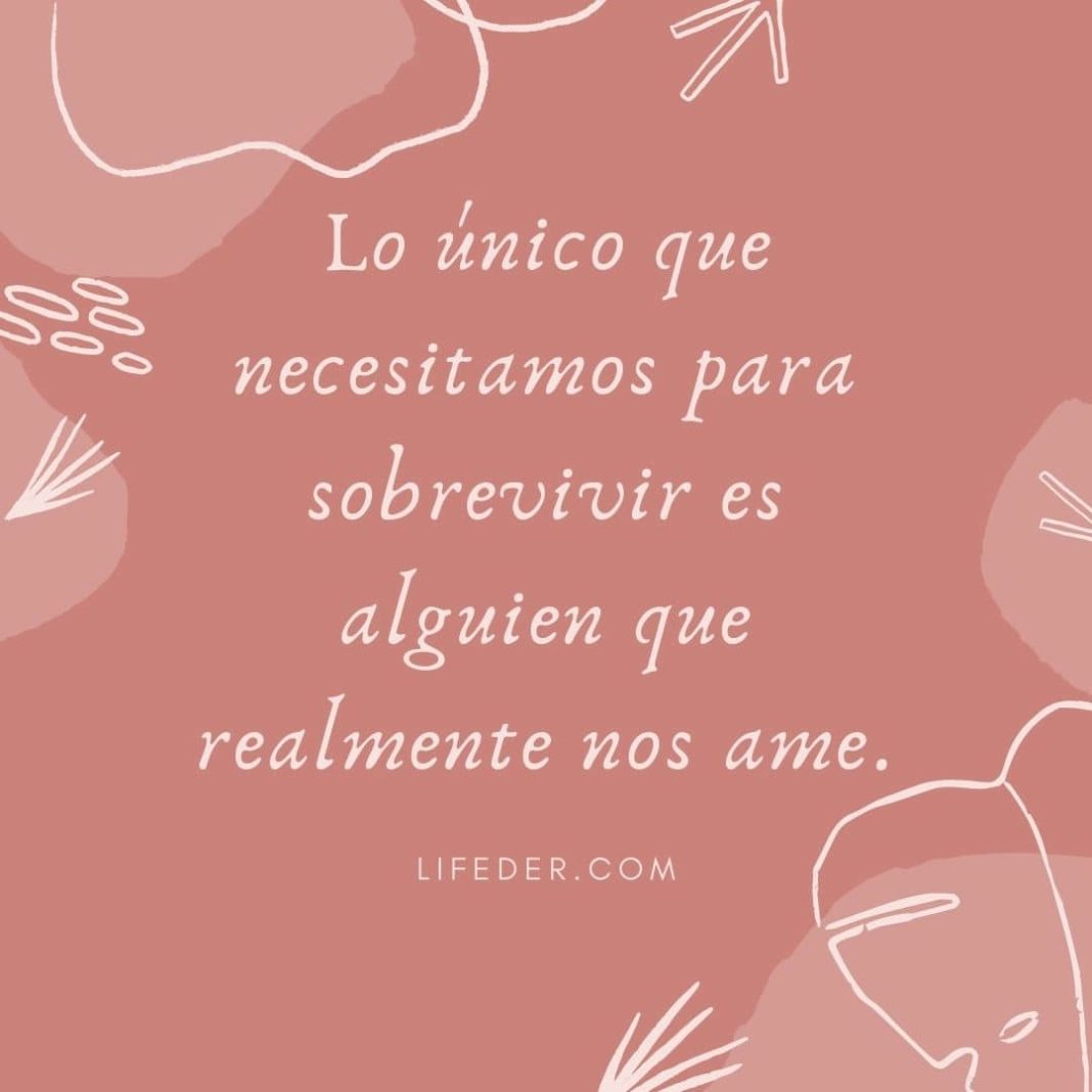 50+ reflexiones de amor cortas que te sorprenderán