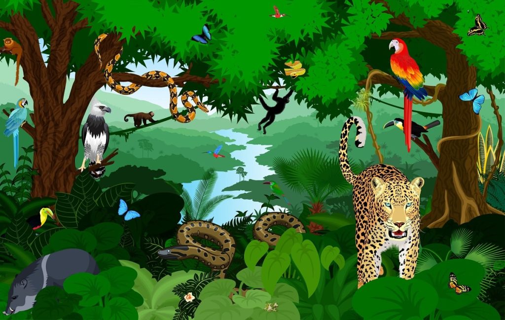 Animales de la selva características, qué comen, hábitat