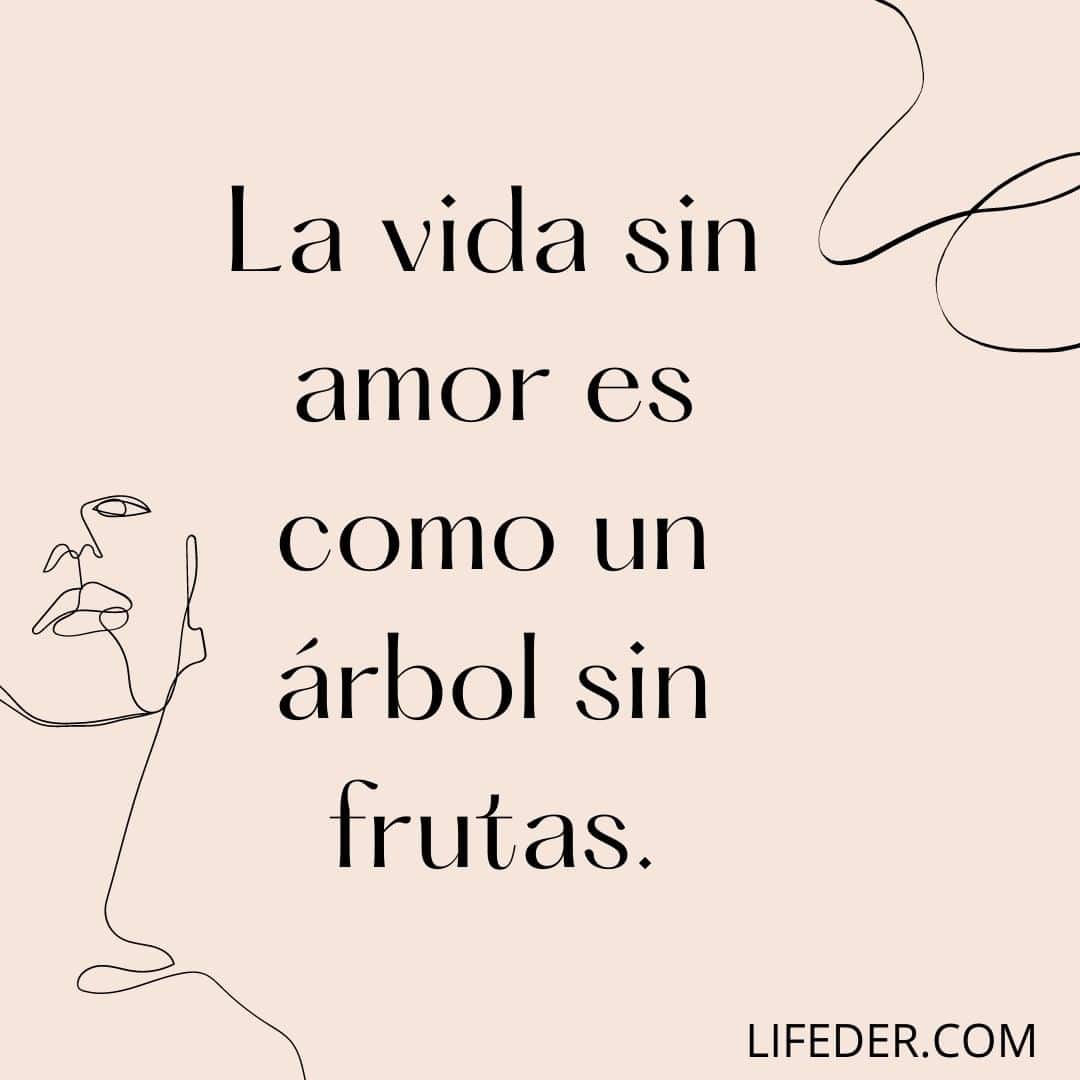 50 Reflexiones De Amor Cortas Que Te Sorprenderan 50 Reflexiones De Amor Cortas Que Te Sorprenderan
