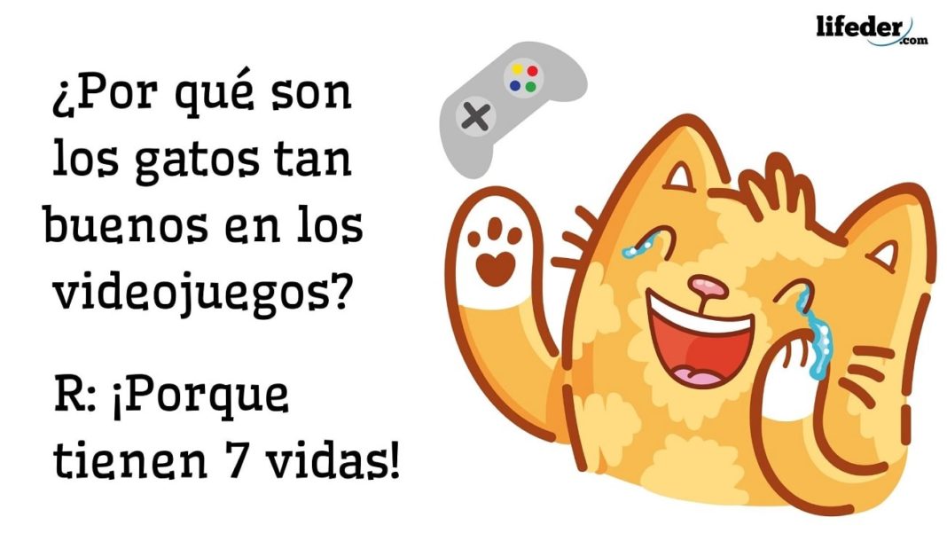 Chistes graciosos chiste grasiosas divertido tiernos absurdo