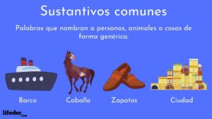 Sustantivos comunes