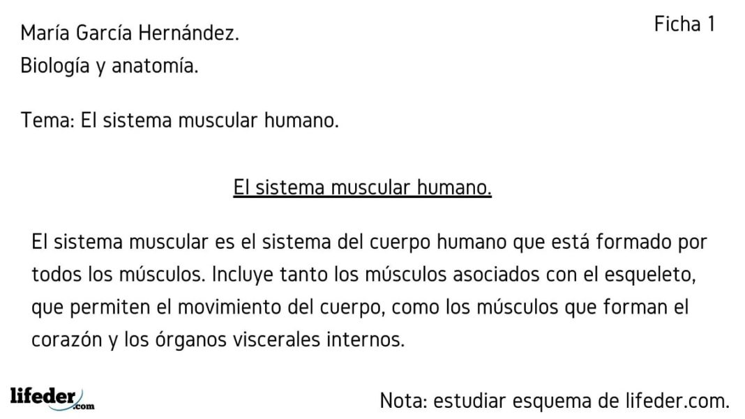 Fichas de paráfrasis: características, cómo hacerla, ejemplos