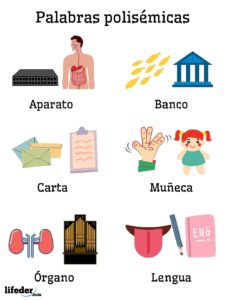 Palabras polisémicas