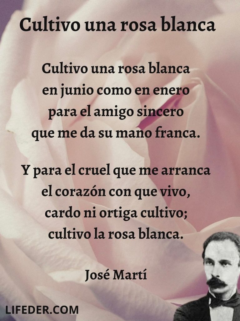 orquesta Mismo tocino poemas sobre fotografia Acelerar lila Adular orquesta Mismo tocino poemas sobre fotografia Acelerar lila Adular
