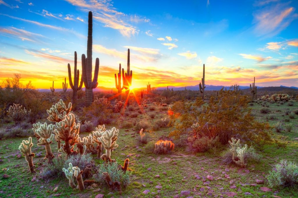 Regiones naturales de México: qué son, cuáles son y sus características